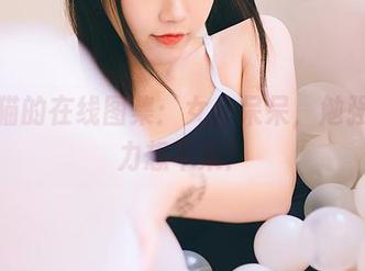不呆猫的在线图集：女仆呆呆，勉强在努力想不呆！
